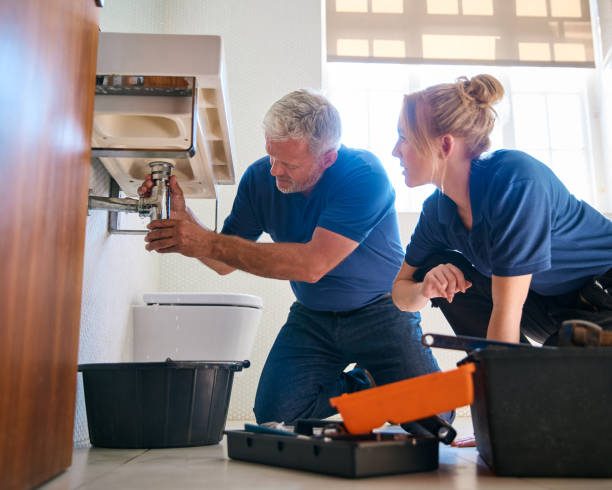 Best Clogged Drain Plumber  in Wellsville, UT